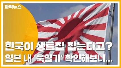[자막뉴스] 한국이 생트집 잡는다고? 일본 내 '욱일기' 확인해보니... / YTN