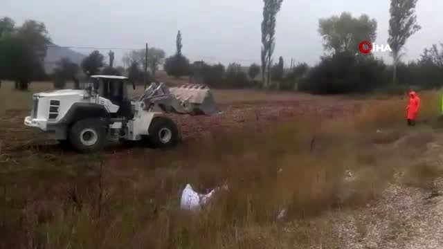 Çekirdek yüklü Tır devrildi, yol trafiğe kapandı