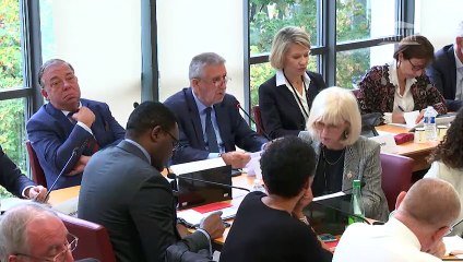 Commission des affaires étrangères : Son Exc. M. Edward Llewellyn, ambassadeur du Royaume-Uni en France - Mercredi 25 septembre 2019