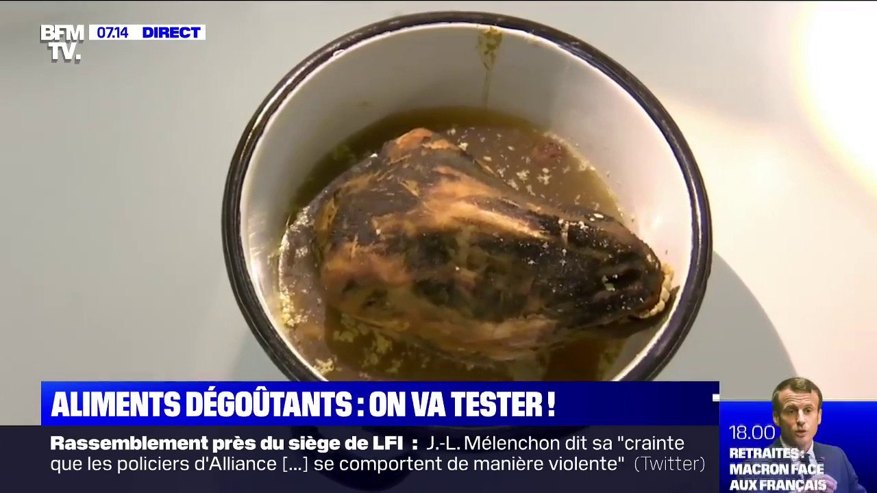 Œil de mouton, alcool de souriceau... À Nantes, une exposition pour découvrir et manger "les aliments les plus horribles du monde"