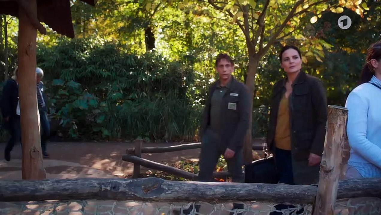 Dr. Mertens - Folge 68: In jeder Sprache