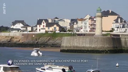 Arte - Le banc des sardines