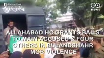 Main Accused In Bulandshahr Mob Violence Granted Bail