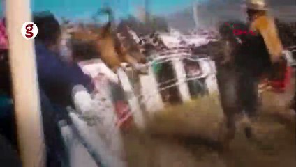 Şili'de boğa seyircilerin arasına daldı: 10 yaralı 
