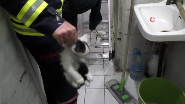 Havalandırma boşluğuna düşen yavru kediyi itfaiye kurtardı
