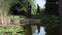 Philippe Parreno: Water Lilies – Restoration Project at Fondation Beyeler