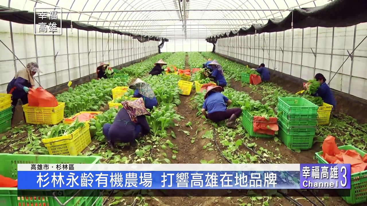 農業局有機3方案 建構高雄有機健康城