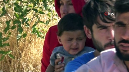 Mültecileri yol ortasında bırakıp kaçtılar