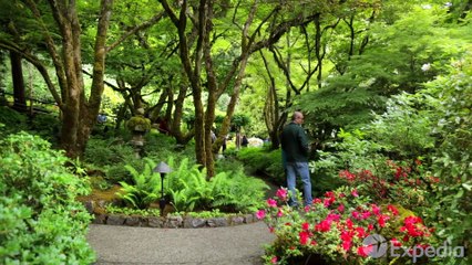 Vancouver Island Vacation Travel Guide