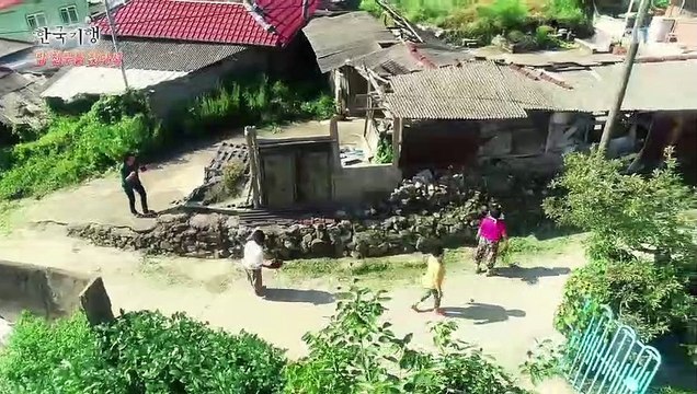 한국기행 - Korea travel_밥 친구를 찾아서 4부- 혼밥보다 함께 먹는 밥_#002