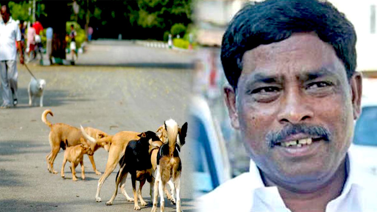 வாக்கிங் போன திமுக எம்எல்ஏவை.. துரத்தி துரத்தி கடித்த நாய்..வீடியோ