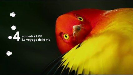 Le voyage de la vie - Bande annonce