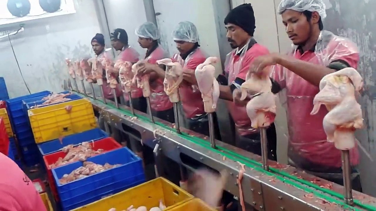 TECHNOLOGY 03: what is chicken processing ?