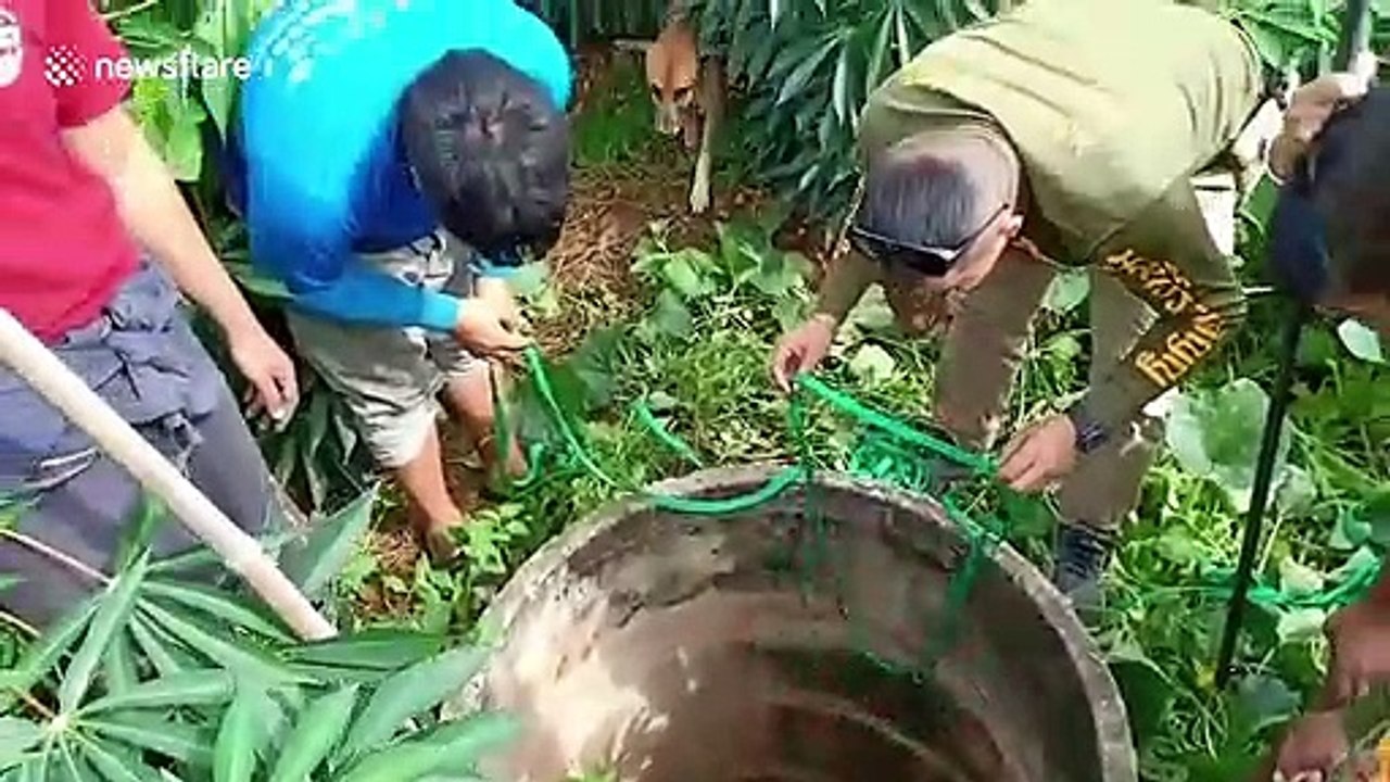 Dog bites rescuers after being saved from deep well in Thailand