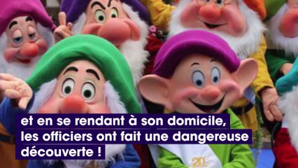 Melun  se croyant attaqué par les sept nains, cet homme a mis le feu à son appartement