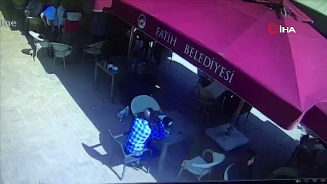 Yavru kedinin depreme tepkisi böyle oldu