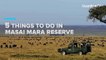 How to enjoy your stay in Kenya's Masai Mara national reserve
