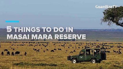 How to enjoy your stay in Kenya's Masai Mara national reserve