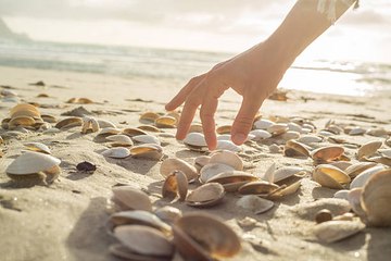 Peut-on ramasser les coquillages, les galets ou le sable sur la plage ?