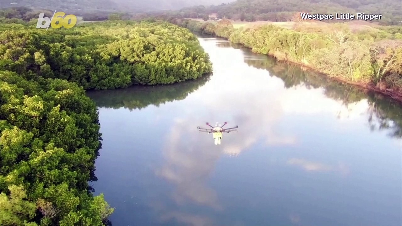 Australian Government to Use Crocodile-Spotting...
