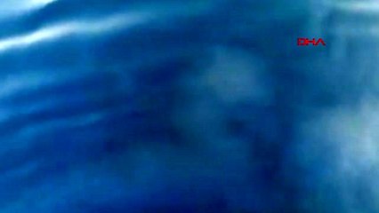 İzmir foça'da denizde paniğe neden olan kirlilik