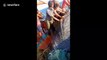 Shocking footage shows Indian fishermen catch and sell endangered whale shark