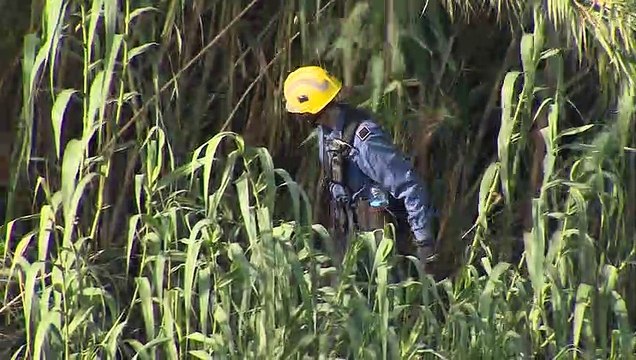 Sigue la búsqueda del bebé en el río Besòs (Barcelona)