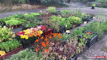 Valence : quand les écoliers se familiarisent avec les gestes éco-responsables