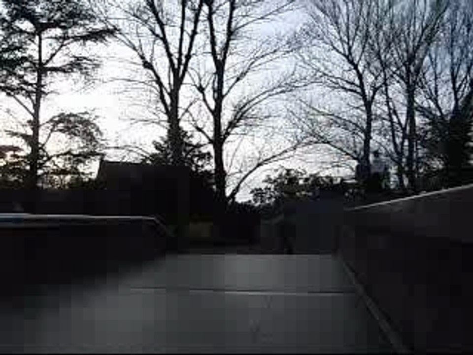 Double whip
