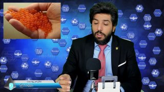 واردات تخم آلوده ماهی قرل آلا_بیوتروریسم علیه ایران_رودست 284