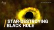 NASA’s TESS Caught a Black Hole Tearing Apart a Star