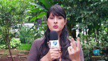 Programa Educação em Debate (BVTV) - Tema: Educação ambiental no desenvolvimento do cidadão planetário