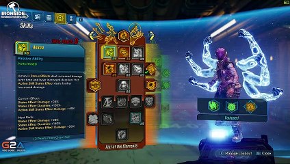 Borderlands 3 - BEST AMARA BUILD HIGHEST DPS !!