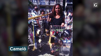 O que diz a governadora em exercício do ES