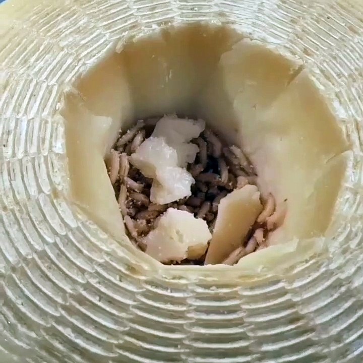 Des plats dégoûtants pour le musée de nourritures dégoûtantes à Nantes