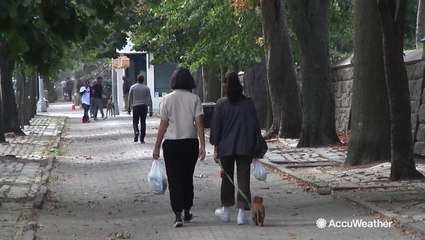 Warm and cool northeast fall days