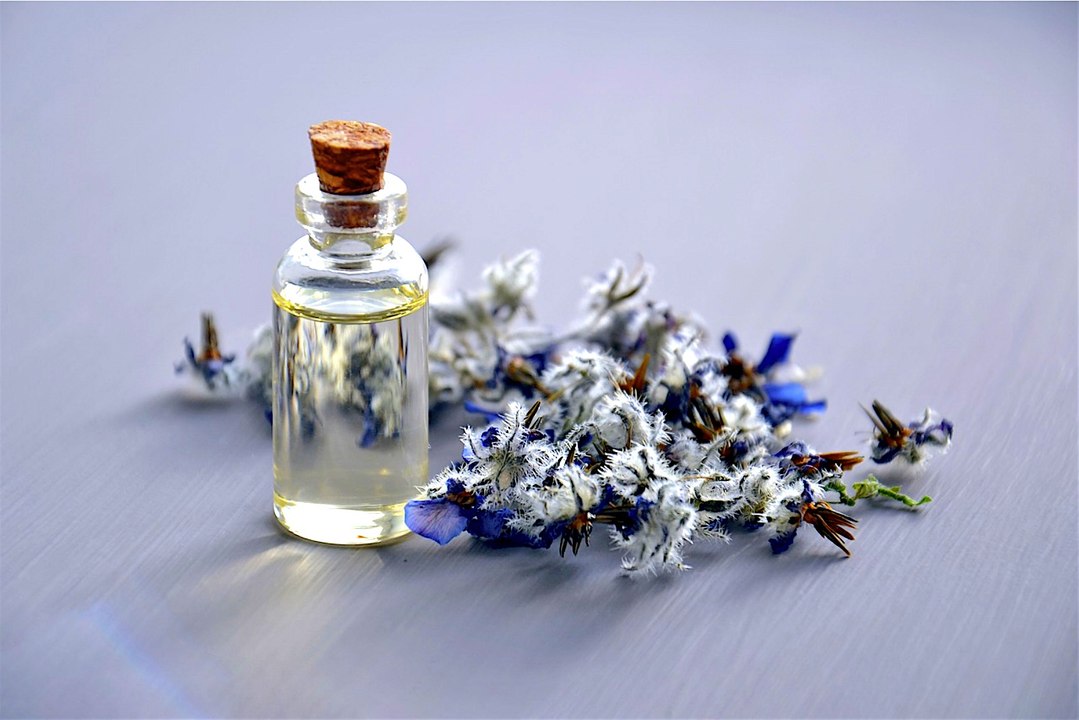 Pamper Your Pooch With Essential Oils