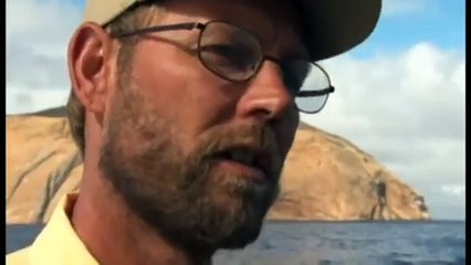 el gran tiburón blanco