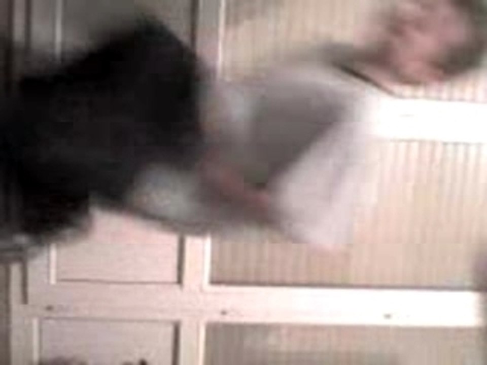 MOV00005