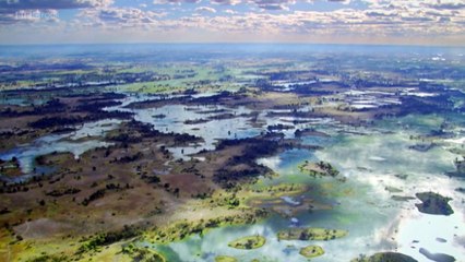 BBC Natures Microworlds 05of13 Okavango