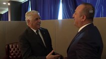 Çavuşoğlu, Dominik Cumhuriyeti Dışişleri Bakanı Vargas ile bir araya geldi - NEW