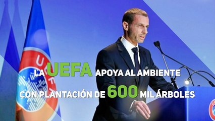 La UEFA apoya al ambiente con plantación de 600 mil árboles