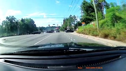 Dog Emerges from Car After Traffic Accident