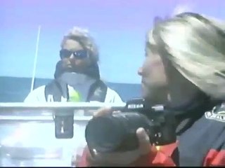 orcas (ballenas asesinas) documental