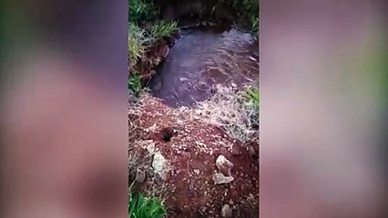 Grande volume de água vazando em rua no Santo Onofre gera reclamações de internautas