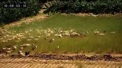 Secrets Of The Bible The Fall Of Jericho Part 2