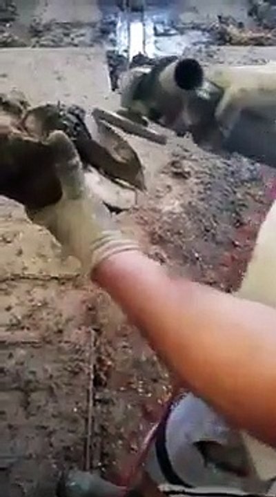 الوقاية خير من العلاج الوقاية من أسباب النجاح‬