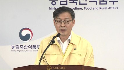 [현장영상] 농식품부 "어제 돼지열병 신고 강화 2건만 양성" / YTN