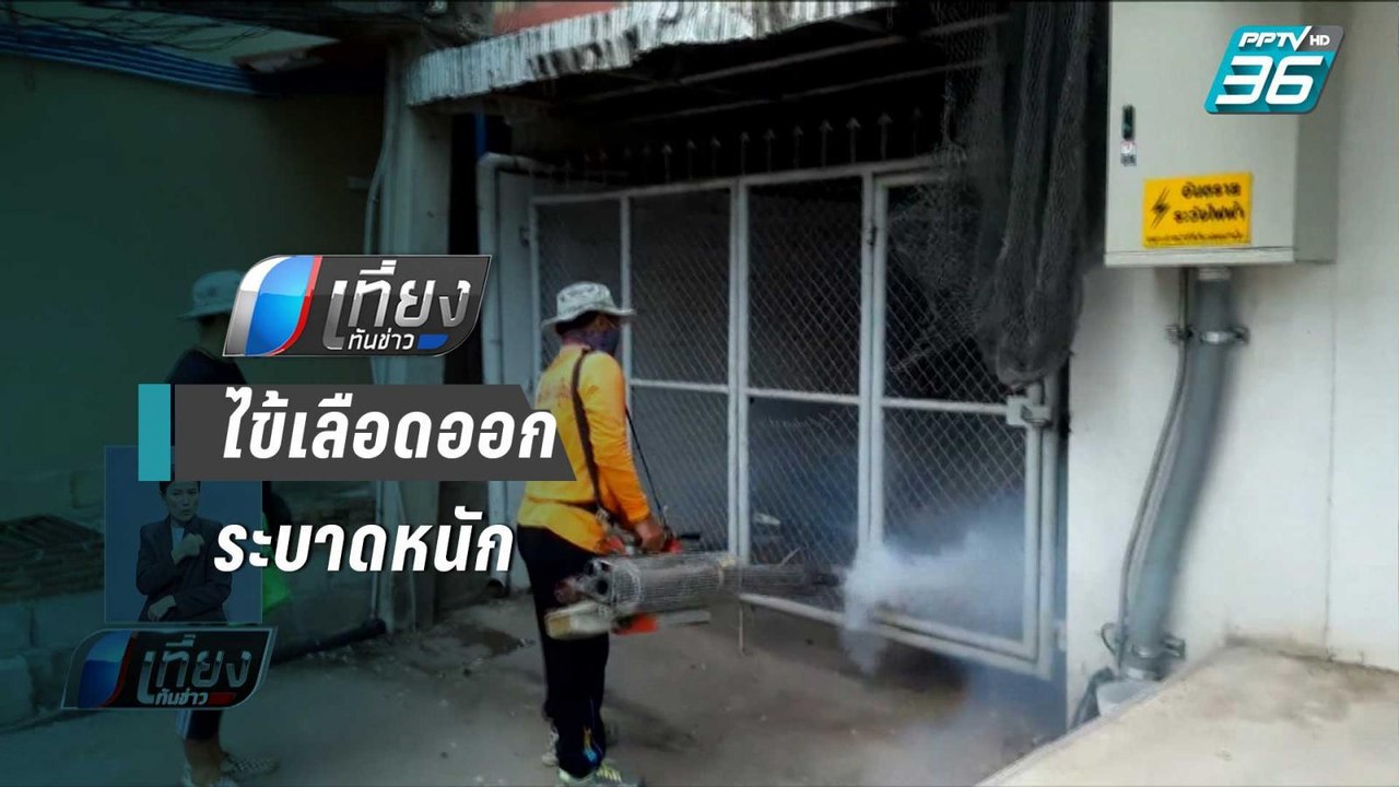 จ.นครราชสีมา ไข้เลือดออกระบาดหนักมีผู้เสียชีวิต...