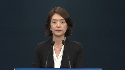 고민정 청와대 대변인 현안 관련 브리핑 / YTN